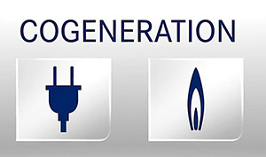 cogeneration