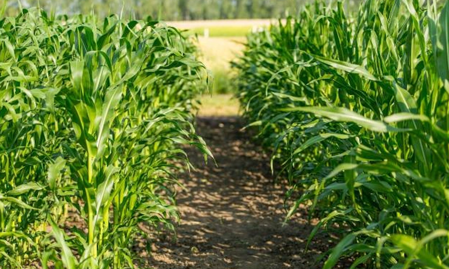 Насосные установки для орошения