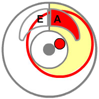 DMF