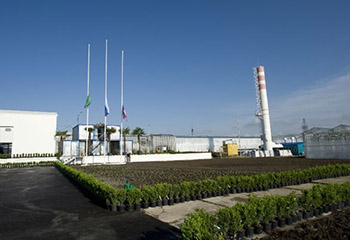 Насосная установка ПСМ для хвойного питомника Насосная установка ПСМ для хвойного питомника