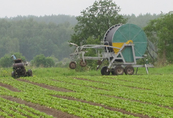 Три мотопомпы ПСМ отправились орошать поля томатов, моркови, тыквы и салата