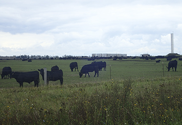 Дизельные насосные установки ПСМ подают воду на сельхоз угодия poliv004.jpg