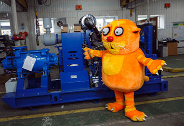 Кот Васи Ложкина позирует рядом с дизельной насосной установкой