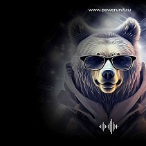 Фото статьи