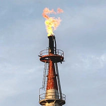 Фото статьи