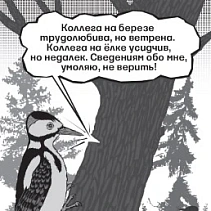 Фото статьи