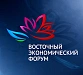 Итоги IX Восточного экономического форума (ВЭФ-2024)