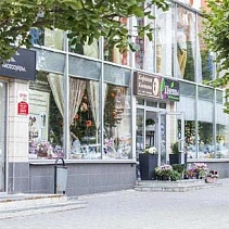 Фото статьи