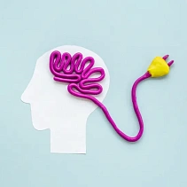 Фото статьи