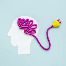 Фото статьи