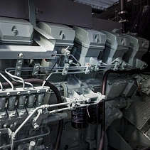 Фото статьи