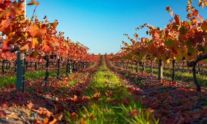 4,5 МВт для винодельческоего предприятия