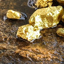 Фото статьи