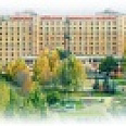 Фото статьи