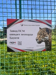 Двигатель со встречным движением поршней
