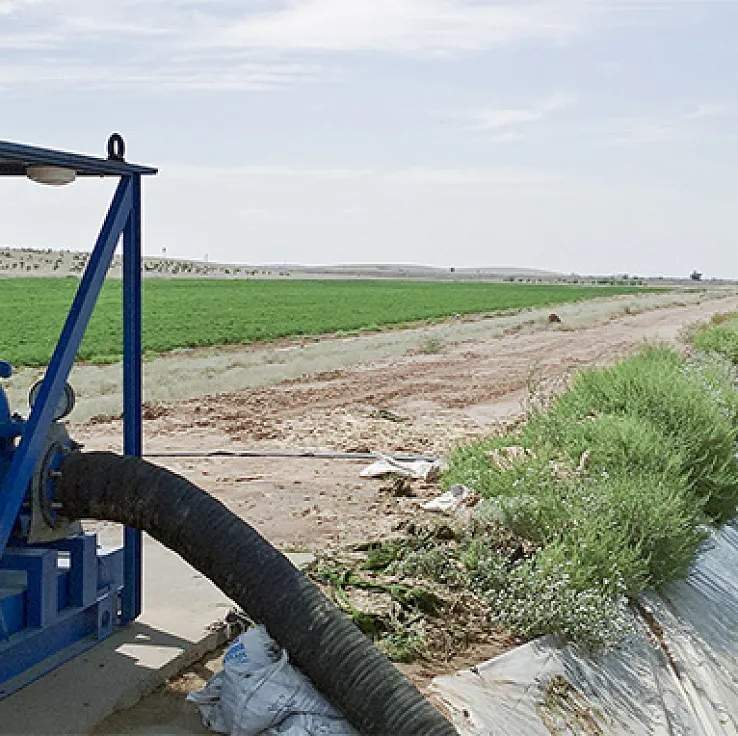 Лето про запас