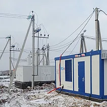 К году Свиньи готовы