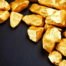 Золотая жила