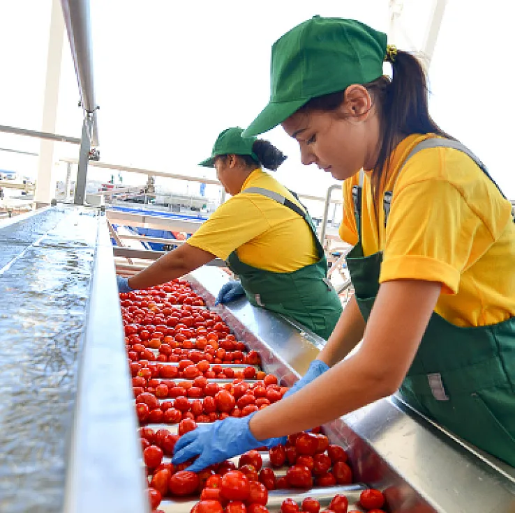 По самые помидоры