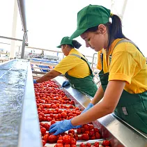 По самые помидоры