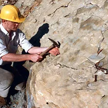 Небо в алмазах