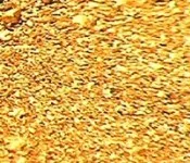 Золотая лихорадка