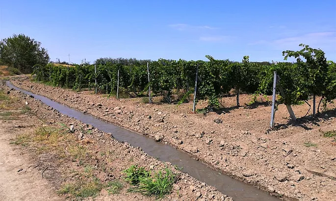 Насосная установка для винодельческого хозяйства в Дагестане